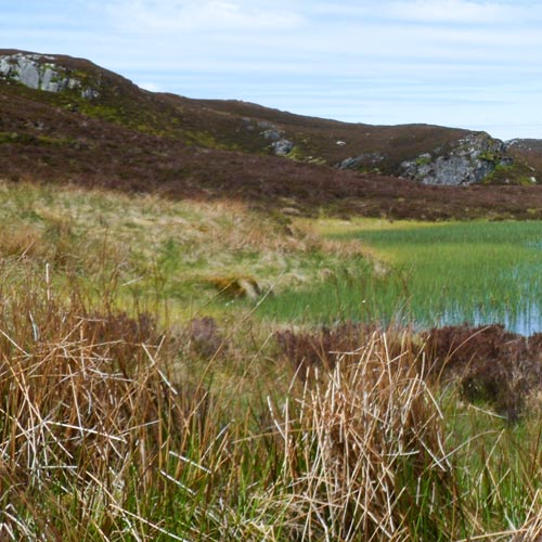 Blick auf einen See mit Bergen im Hintergrund