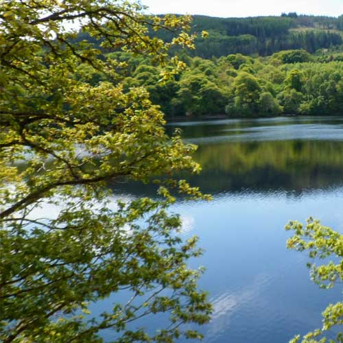 Blick auf einen See, dahinter befindet sich eine Bergkulisse