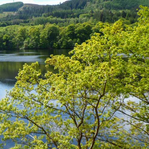 Blick auf einen See, dahinter befindet sich eine Bergkulisse